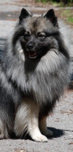 122 Mittelspitz Ice-Tvon der Ro�steige