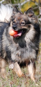 140 Kikki von der Ro�steige