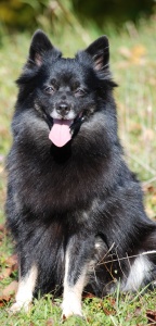 141 Mittelspitz Cassiopeia von der Ro�steige