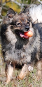 143 Kikki von der Ro�steige