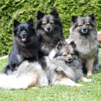 14 Mittelspitze von der von der Ro�steige - die ganze Familie