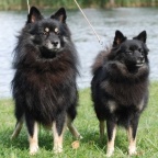 23 Mittelspitz Cassiopeia und Dundee von der Ro�steige