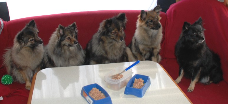 Am Strand vom Mons Klint mit den Mittelspitzen von der Ro�steige - 06