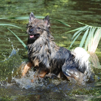 Ausflug mit den Mittelspitzen von der Ro�steige an den Weiher 2011 - 08