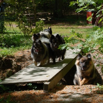 Mittelspitze in D�nemark- Urlaub 2011-30