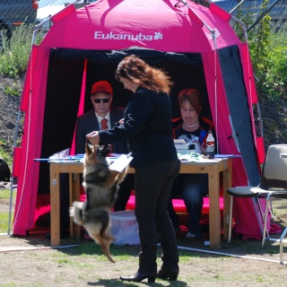 Spitz Kikki von der Roßsteige 03 Spitz Kikki von der Roßsteige 03