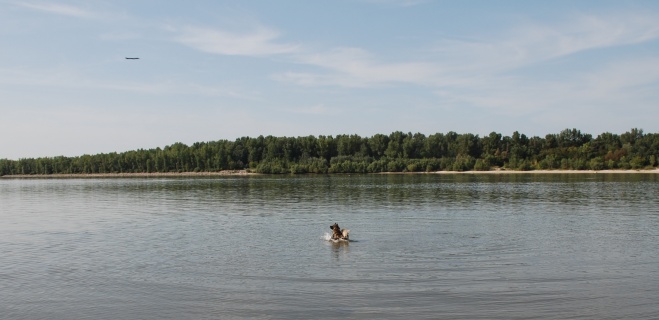 Spitz Kikki von der Ro�steige 04