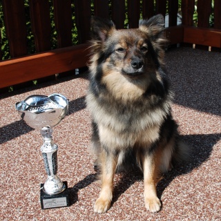 Spitz Kikki von der Ro�steige 15