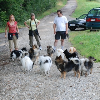 Spitz Kikki von der Ro�steige 22 August 2012