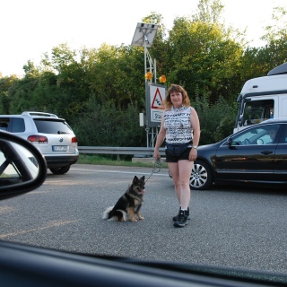 Spitz Kikki von der Ro�steige 24 August 2012