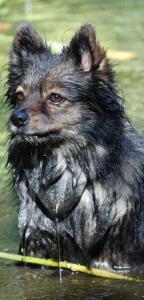 139 Kira von Ayers Rock - Spitz von der Ro�steige